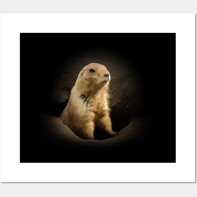 Prairie dog Wall Art by Guardi